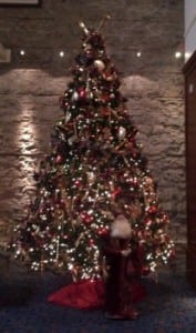 Christmas Tree Calgary