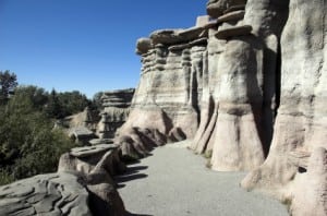 Calgary Zoo sand dunes