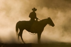 Calgary Stampede Volunteers