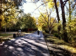 Calgary River Parks Pathways