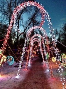 Calgary Zoo Lights 2013