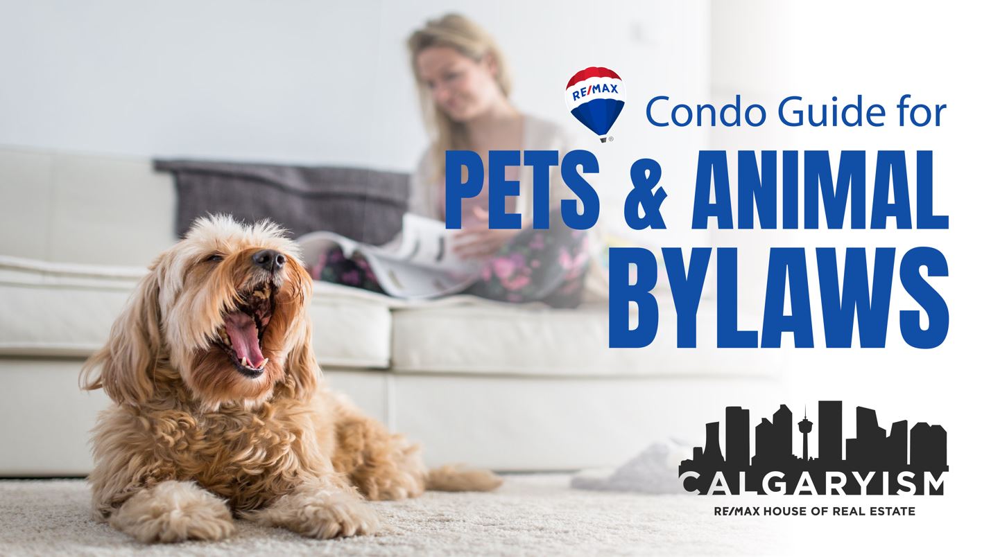 Calgary condo guide for pets and animal bylaws v2