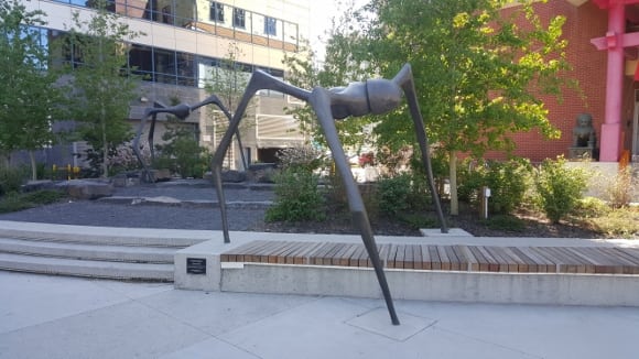 Blog Image