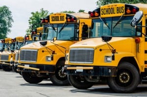 Yellow School Bus Calgary Alberta