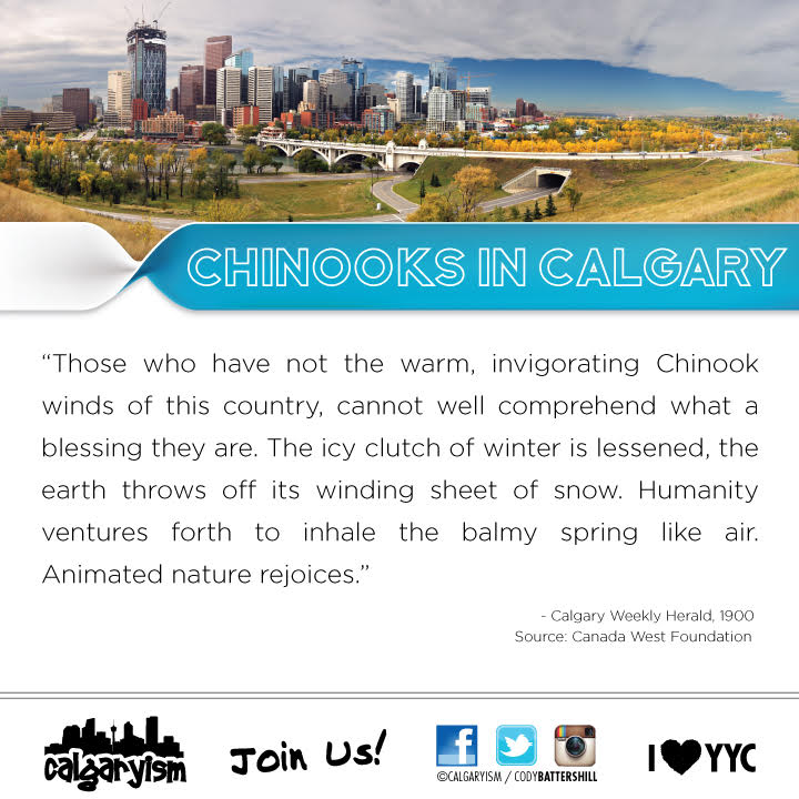 Chinooks in Calgary Infographic
