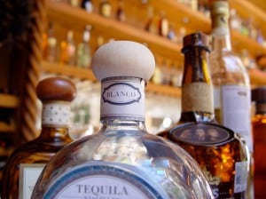 best tequila bars in calgary