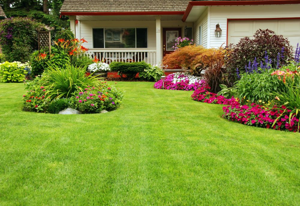 improving your curb appeal - focus on the landscaping and adding colours