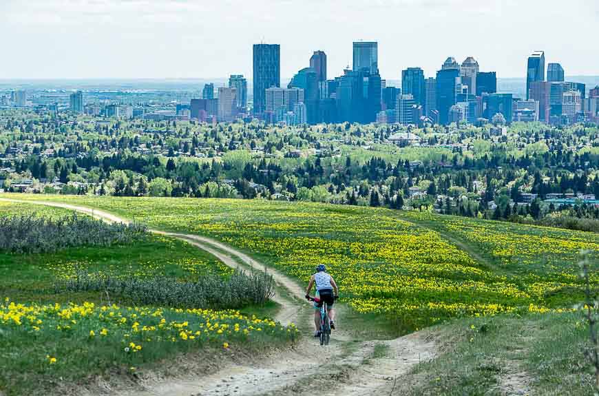 edgemont - best neighbourhoods for families in Calgary