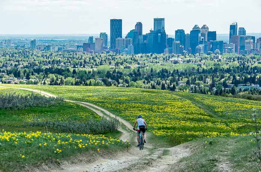 edgemont - best neighbourhoods for families in Calgary