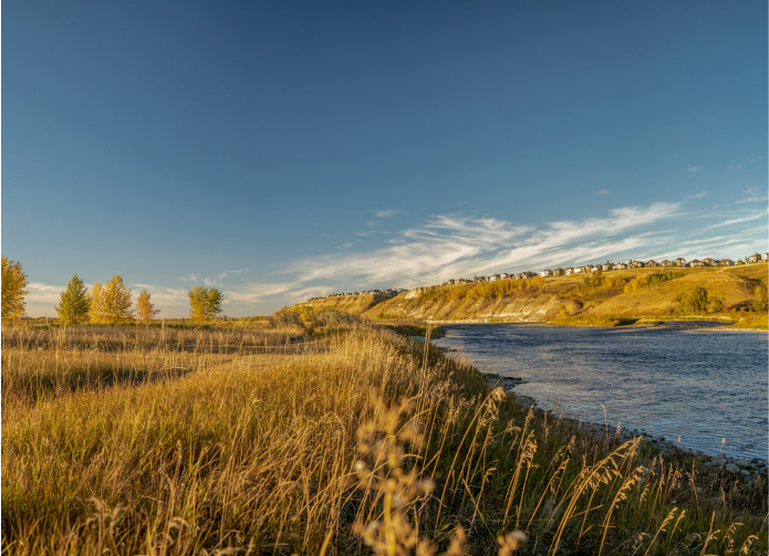 wolf willow bow river access