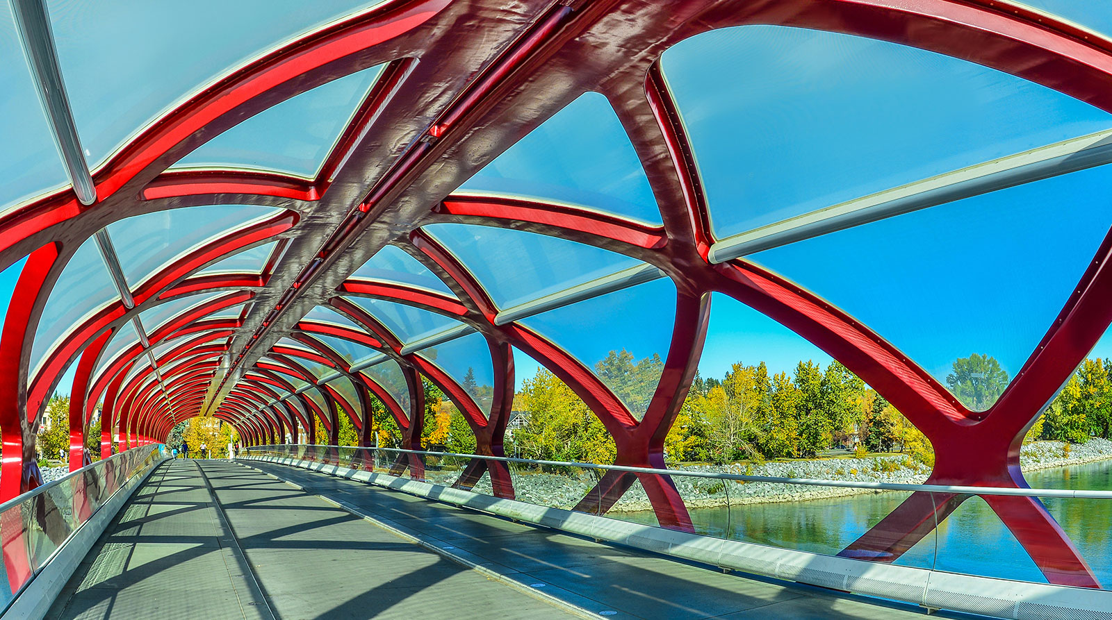 Best Calgary Homes - Calgary Realtors and Real Estate Agents, Cody, Jordan, Ben, Jeff, Eric